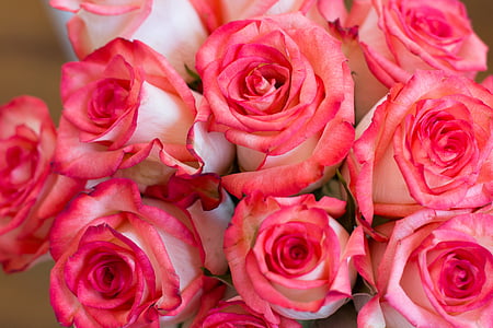 pink rose bouquet thumbnail