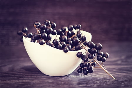 black berries on white bowl thumbnail