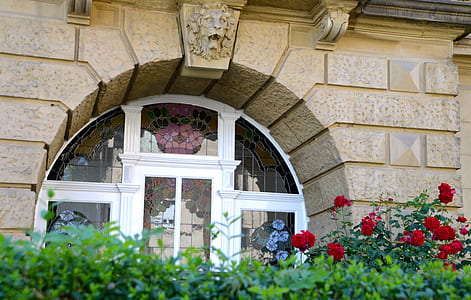 white wooden framed glass panel window beside red rose flowers thumbnail