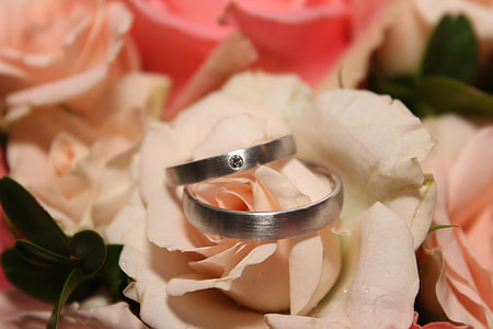 silver-colored band rings thumbnail