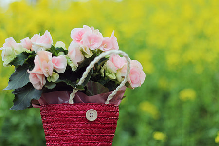 tilt shift lens of pink flower on red wicker basket thumbnail