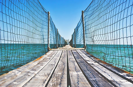 brown wooden dock with net thumbnail