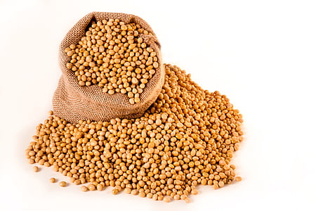 sack of brown beans thumbnail