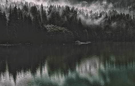 dawn, landscape, nature, water thumbnail