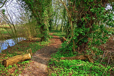 pathway near river at daytime thumbnail