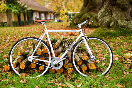 white bicycle beside pile of firewoods on green grass during daytime thumbnail
