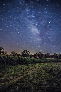 green field under starry sky at night thumbnail