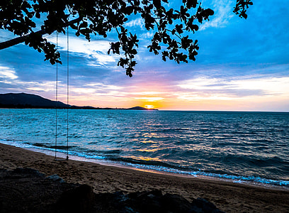 swing chair hanged on tree near seashore thumbnail