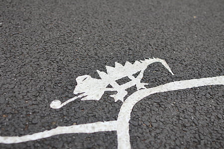 chameleon drawing on asphalt road thumbnail