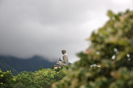 white buddha sculpture under cloudy sky thumbnail