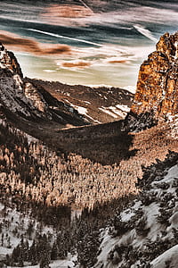 landscape photo of forest thumbnail