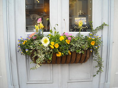 petaled flowers on pot hang on door thumbnail