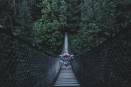 person walking on hanging bridge surrounded by trees thumbnail