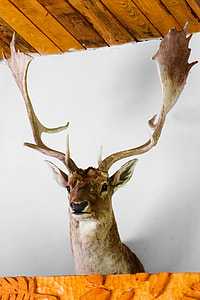 brown deer wall decor thumbnail