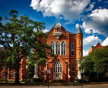 brown painted building surrounded by trees thumbnail