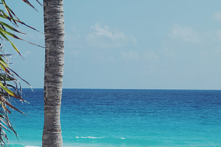 photography of seaside during daytime thumbnail