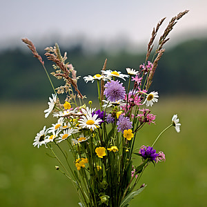 selective focus photography of assorted flowers thumbnail