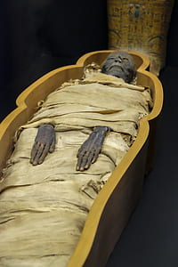 mummy in coffin thumbnail