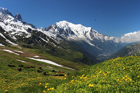 snow covered mountain with green grass field at the bottom thumbnail