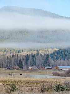 houses near mountain thumbnail