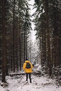 man wearing yellow bubble jacket standing on snow ground during daytime thumbnail
