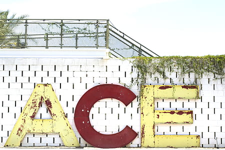 Ace logo thumbnail