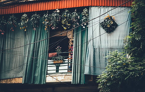 green hanging decors hanged behind green curtain screengrab thumbnail