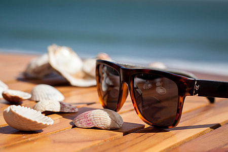 Sunglasses sit of the table beside sea shells on the coast thumbnail