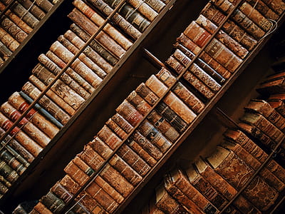 close-up photo of filed books in a book shelf thumbnail