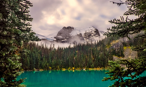 landscape photography of lake, trees, and mountains thumbnail