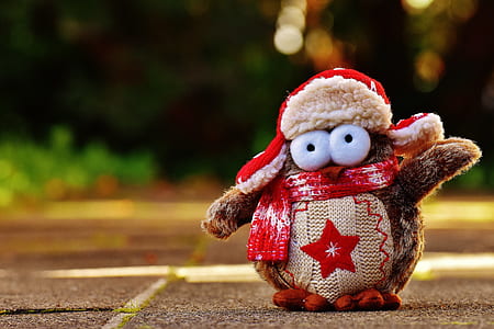 bird plush toy on surfac e thumbnail