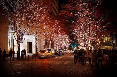 people gathered near trees covered in string lights thumbnail