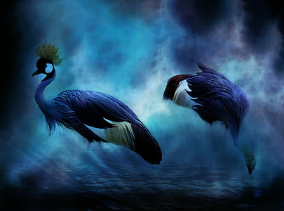 two purple-and-white birds illustration thumbnail