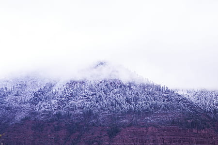 snow, wood, light, dawn thumbnail