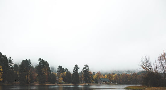 landscape photo of river thumbnail