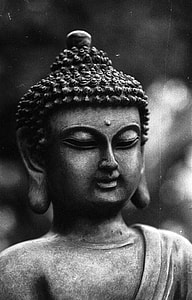closed up photo of Gautama Buddha thumbnail
