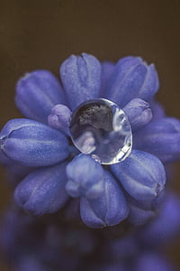 purple and purple flower decor thumbnail