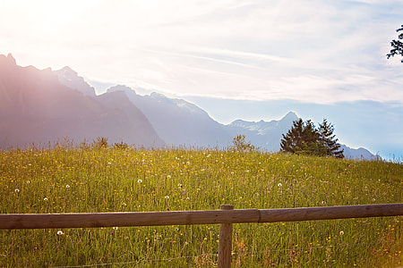 green grass field near mountains under blue and white sunny sky during daytime thumbnail