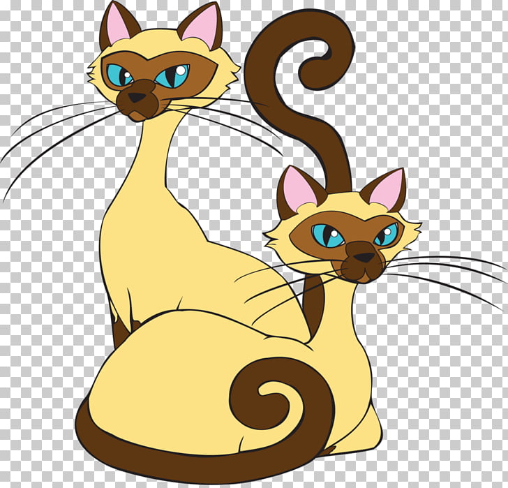 Kitten Siamese Cat Whiskers Domestic Short Haired Cat Tabby Cat