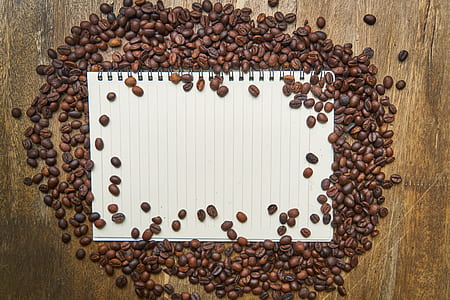 ruled notebook in the middle of coffee beans thumbnail