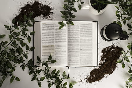 book on table surrounded by leaves thumbnail
