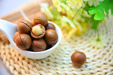 bunch of macadamia seeds thumbnail
