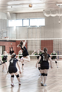 people playing volleyball thumbnail
