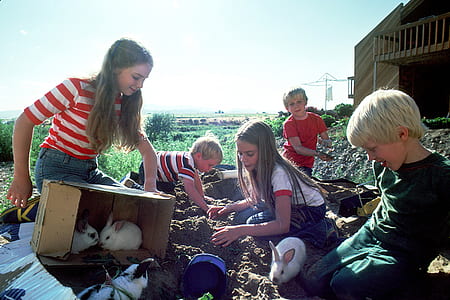 girl in striped shirt holding box with two rabbits thumbnail