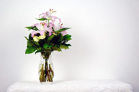 pink and white flower in clear glass vase on white towel thumbnail