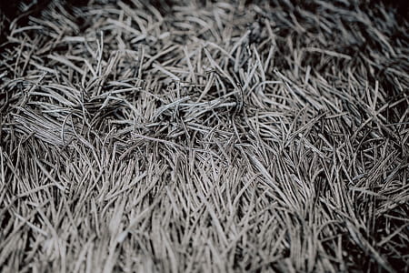 Grey rug texture closeup thumbnail