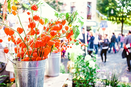 Orange Flowers on Gray Bucket thumbnail