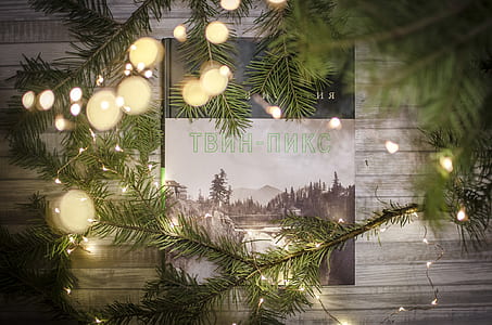 branch, lights, bokeh, book thumbnail