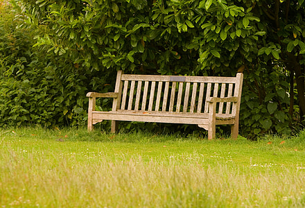 brown wooden bench beside tree during daytime thumbnail
