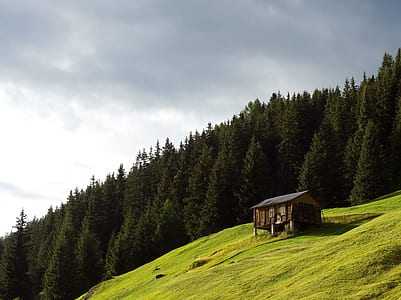 brown wooden house on hillside near trees at daytime thumbnail
